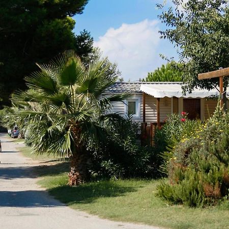 Mobil-Home Neuf 2021 3Ch 34 M2 Saint-Cyprien  Exterior foto