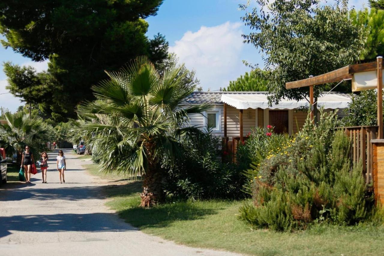 Mobil-Home Neuf 2021 3Ch 34 M2 Saint-Cyprien  Exterior foto